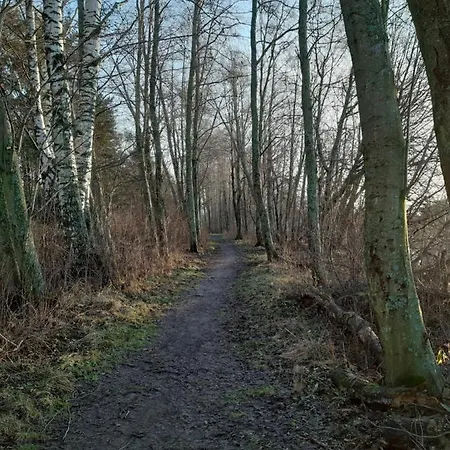 Weatherhill * Pori